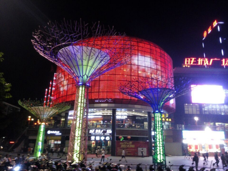 梧州旺城廣場網架（jià）工程